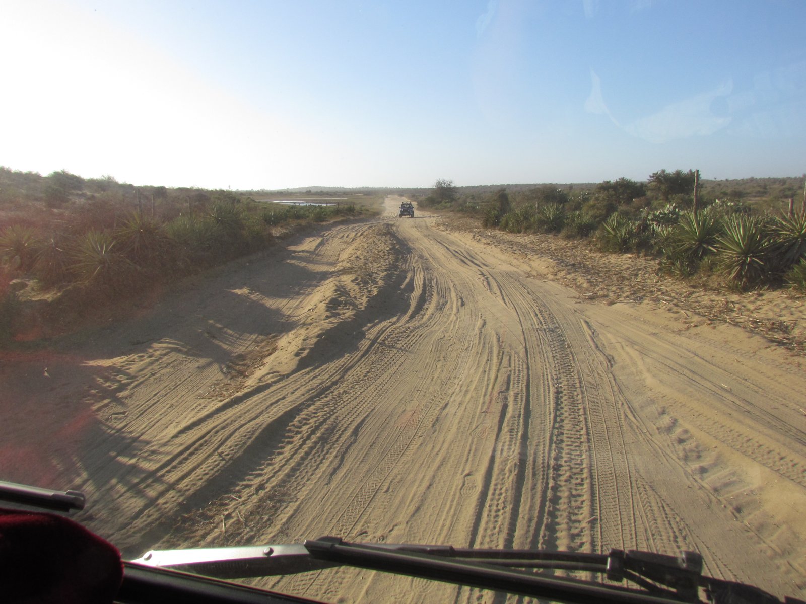 Road to Ifaty