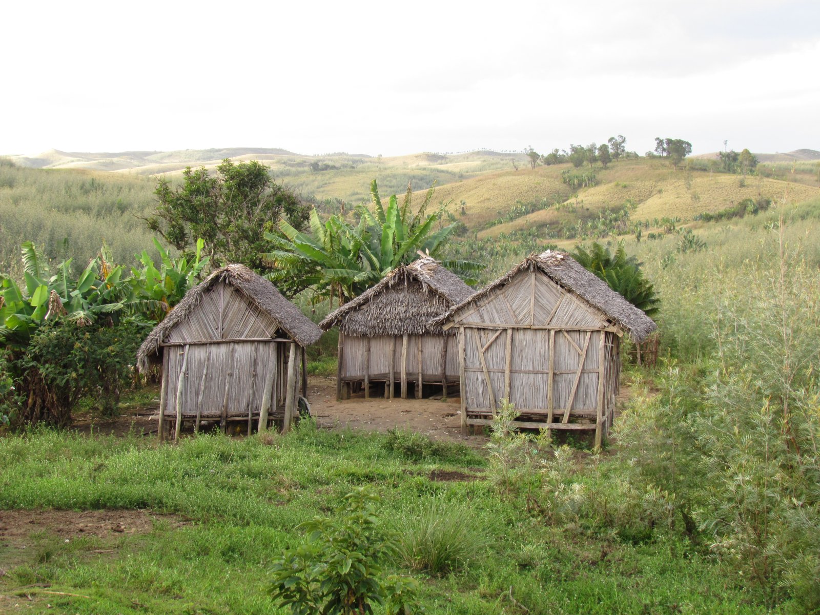 Near Mizahamioraka