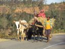Near Ambositra - Cart