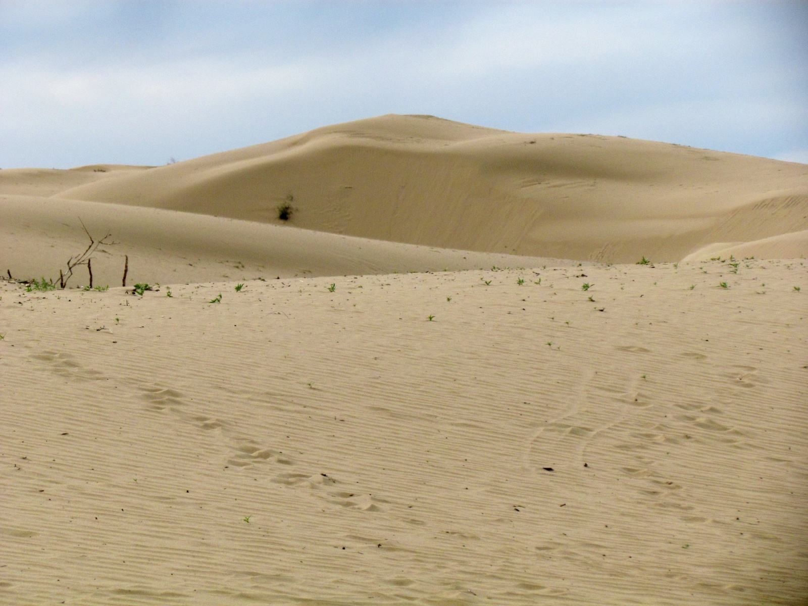 Khogno Khan national park - Mongol Altai ger camp - Sand dunes