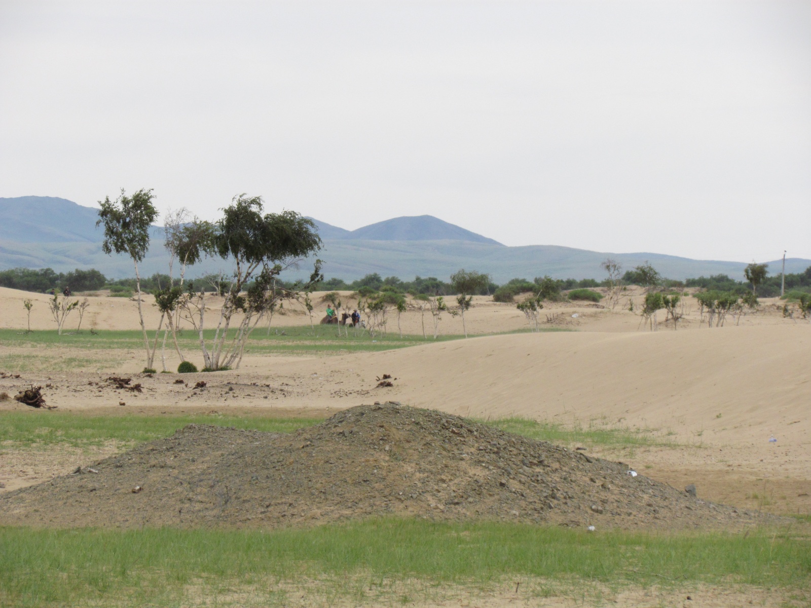 Khogno Khan national park - Mongol Altai ger camp - Sand dunes