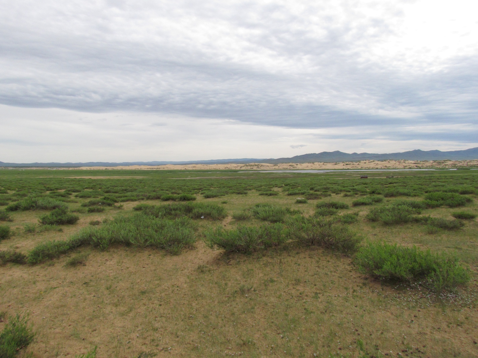 Khogno Khan national park - Near Mongol Altai ger camp - Lake and sand dunes