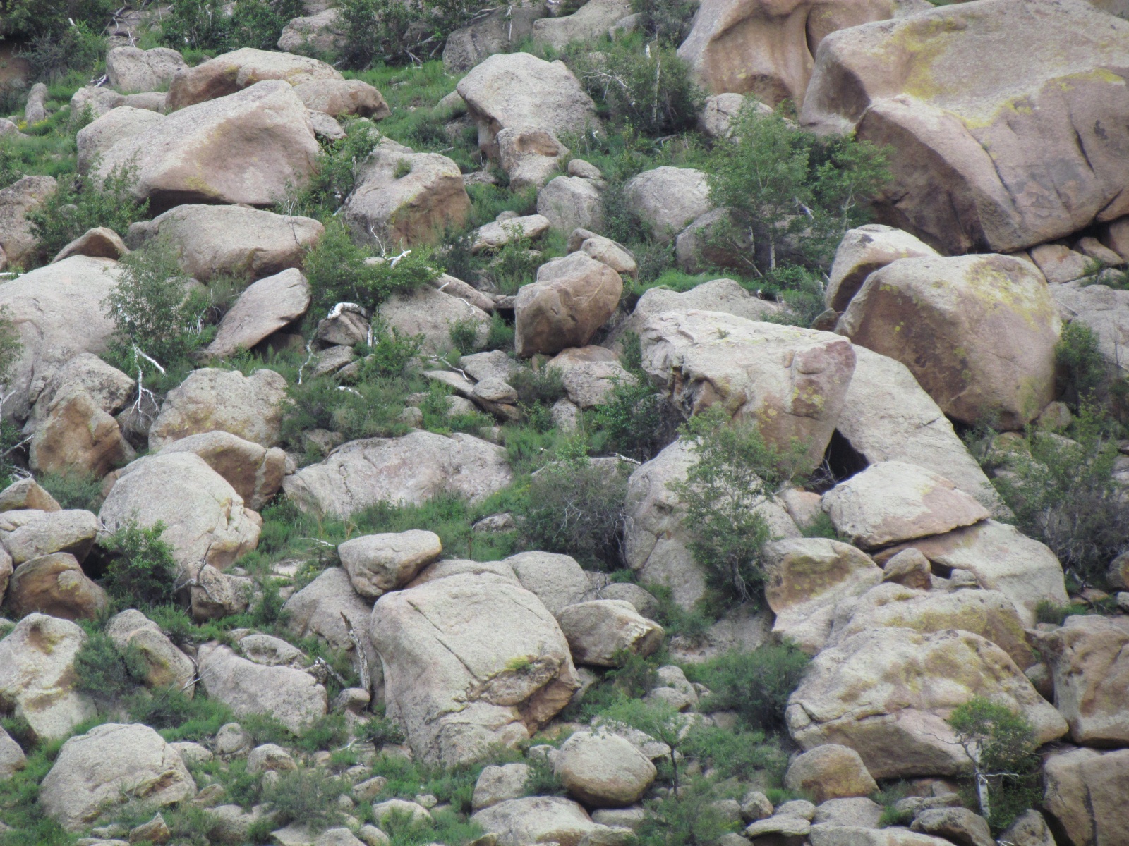 Khogno Khan national park - Near Mongol Altai ger camp