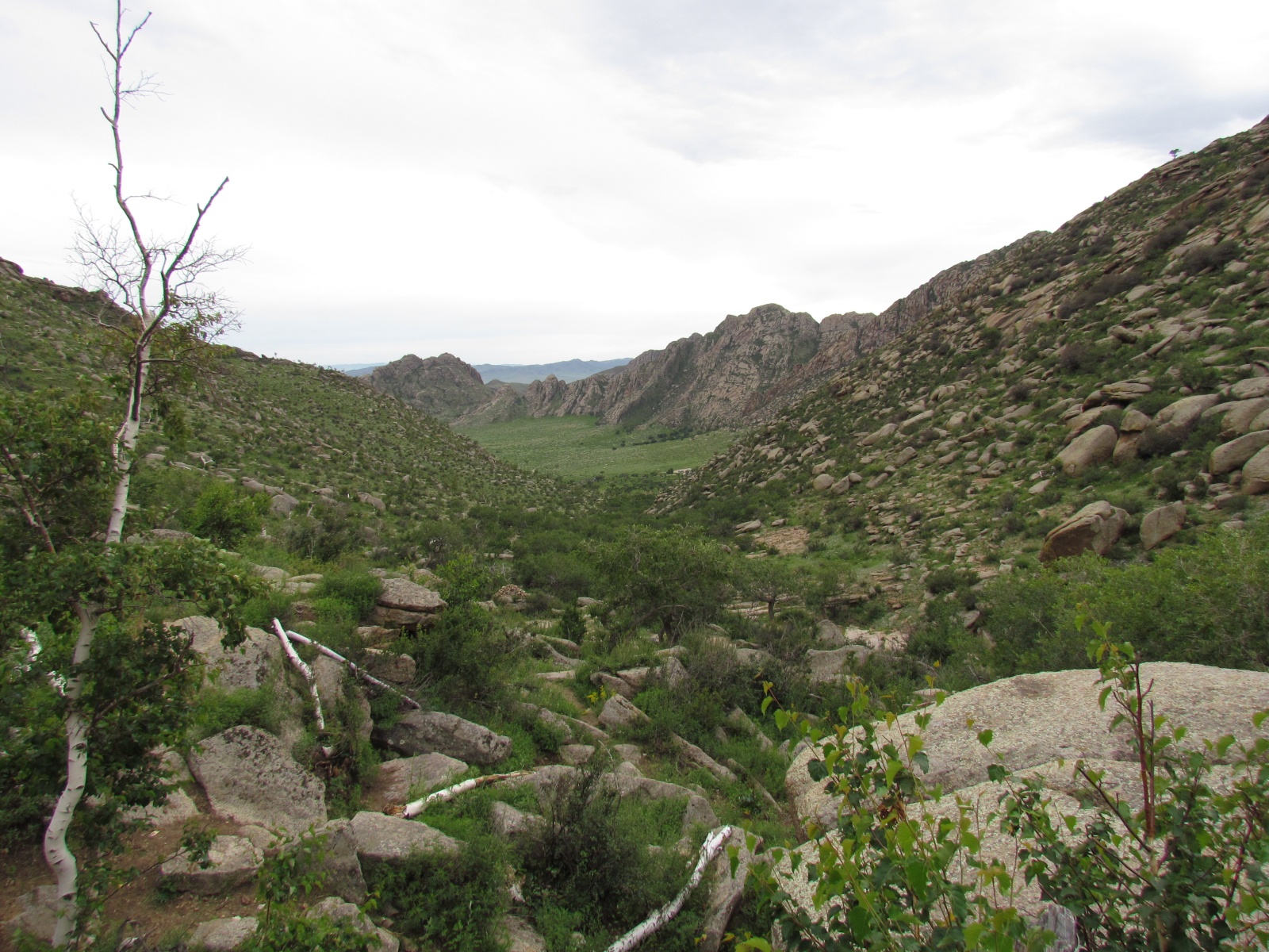 Khogno Khan national park