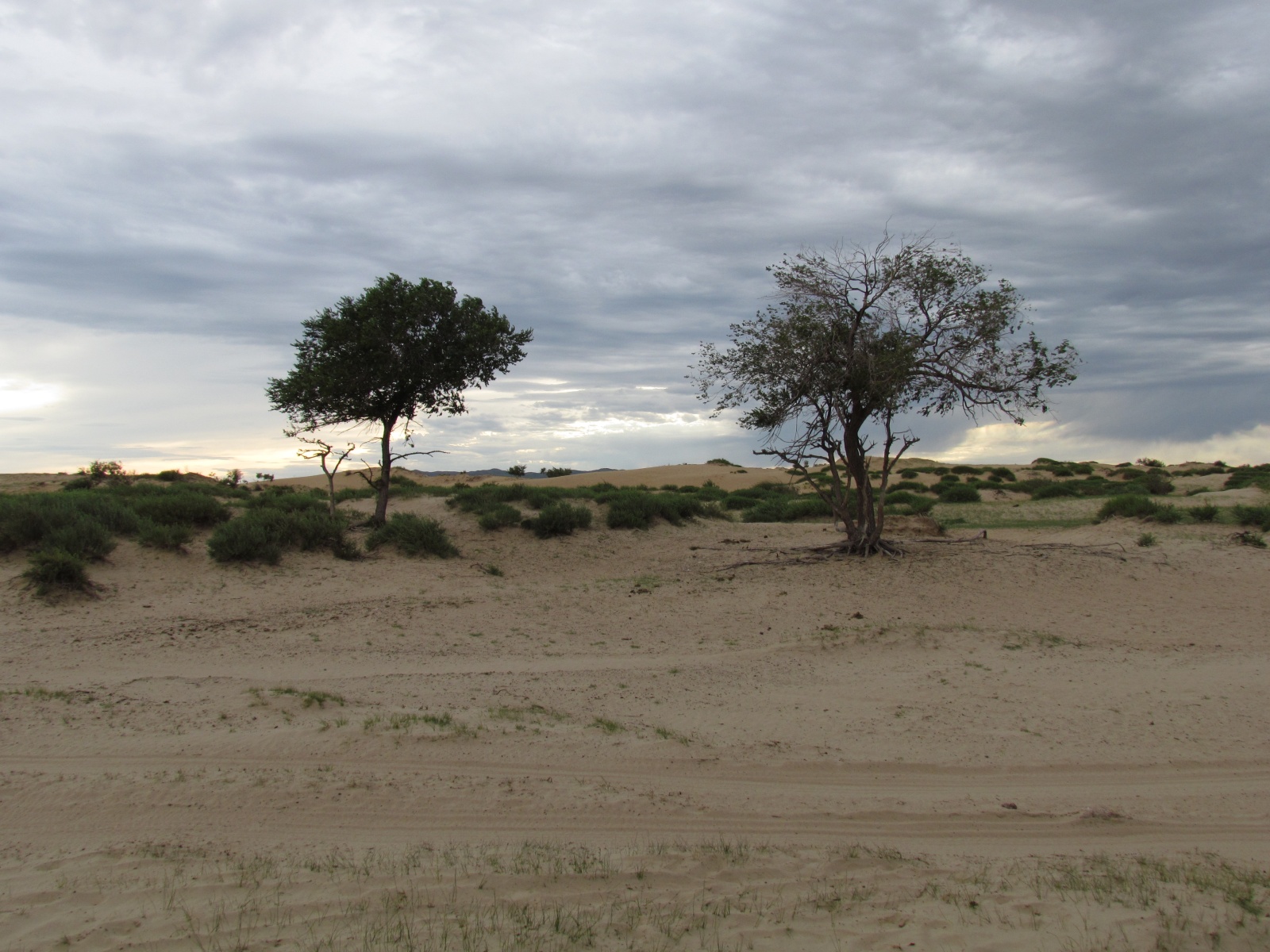 Khogno Khan national park - Sand dunes