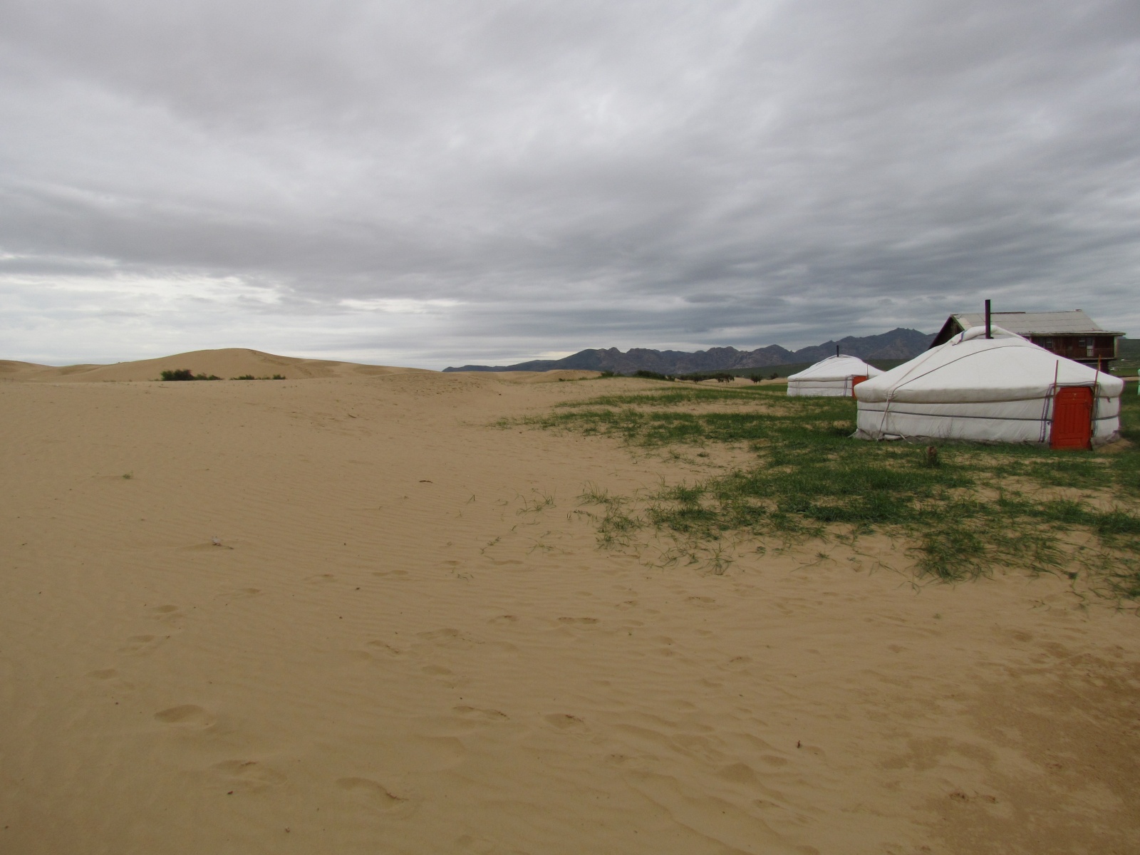 Khogno Khan national park - Altai ger camp