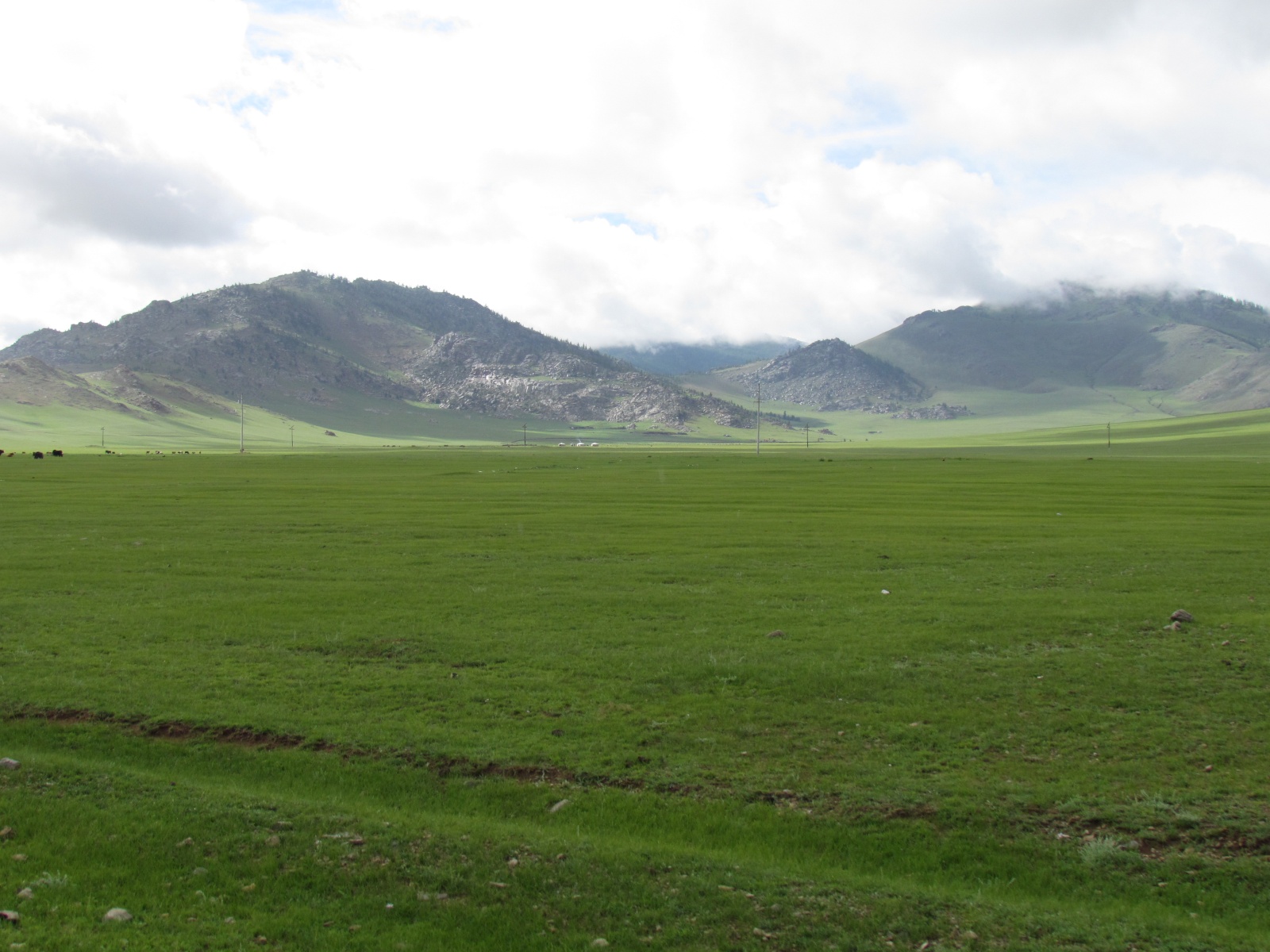 Near Tsetserleg