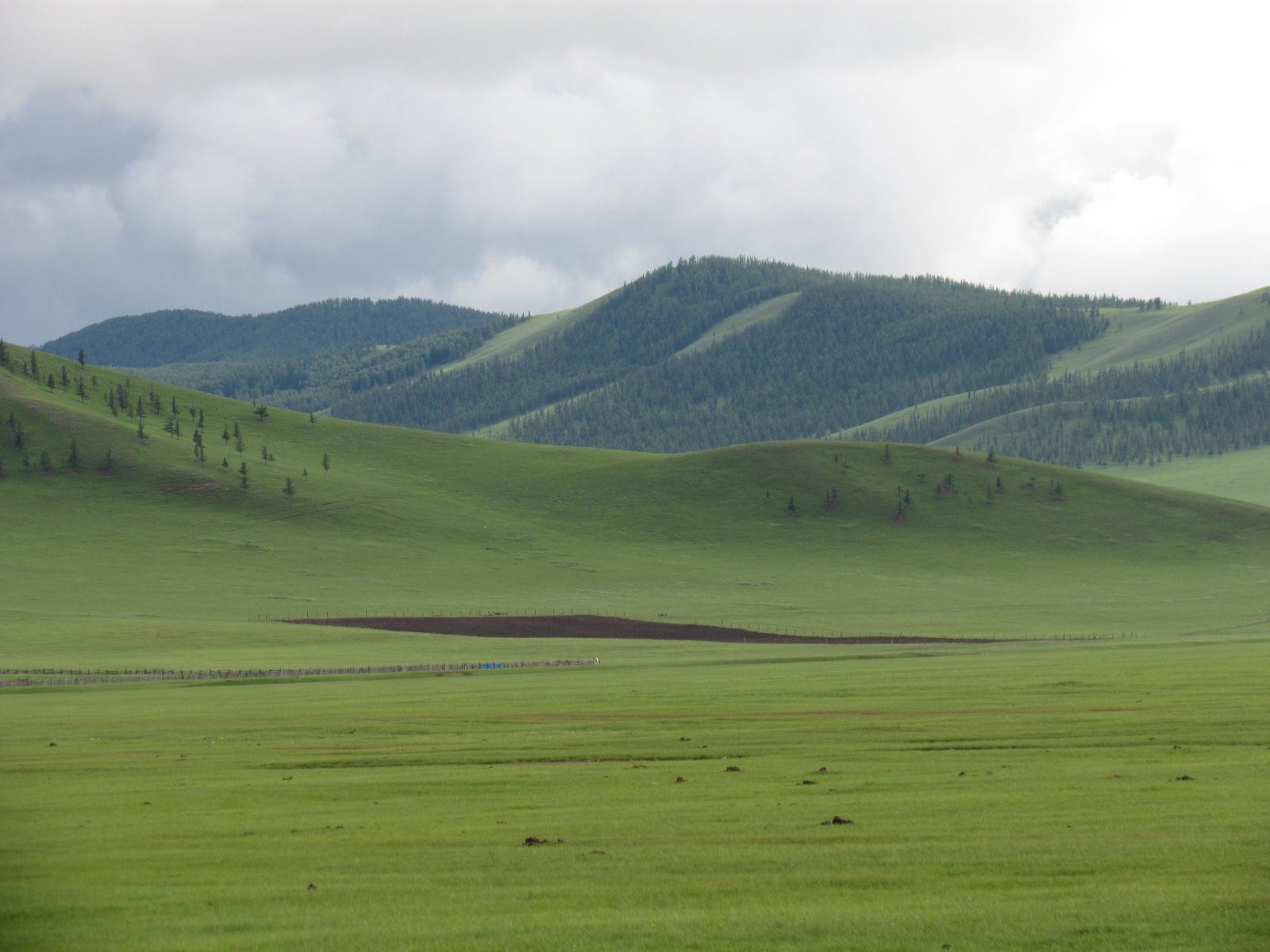Near Tsetserleg