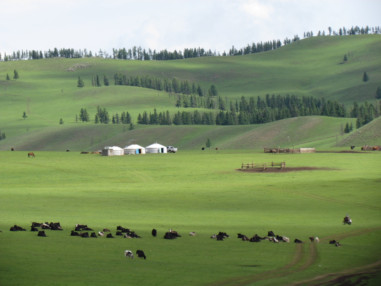 Near Khangai Camp