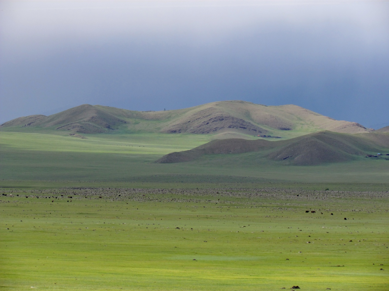 Near Khorgo