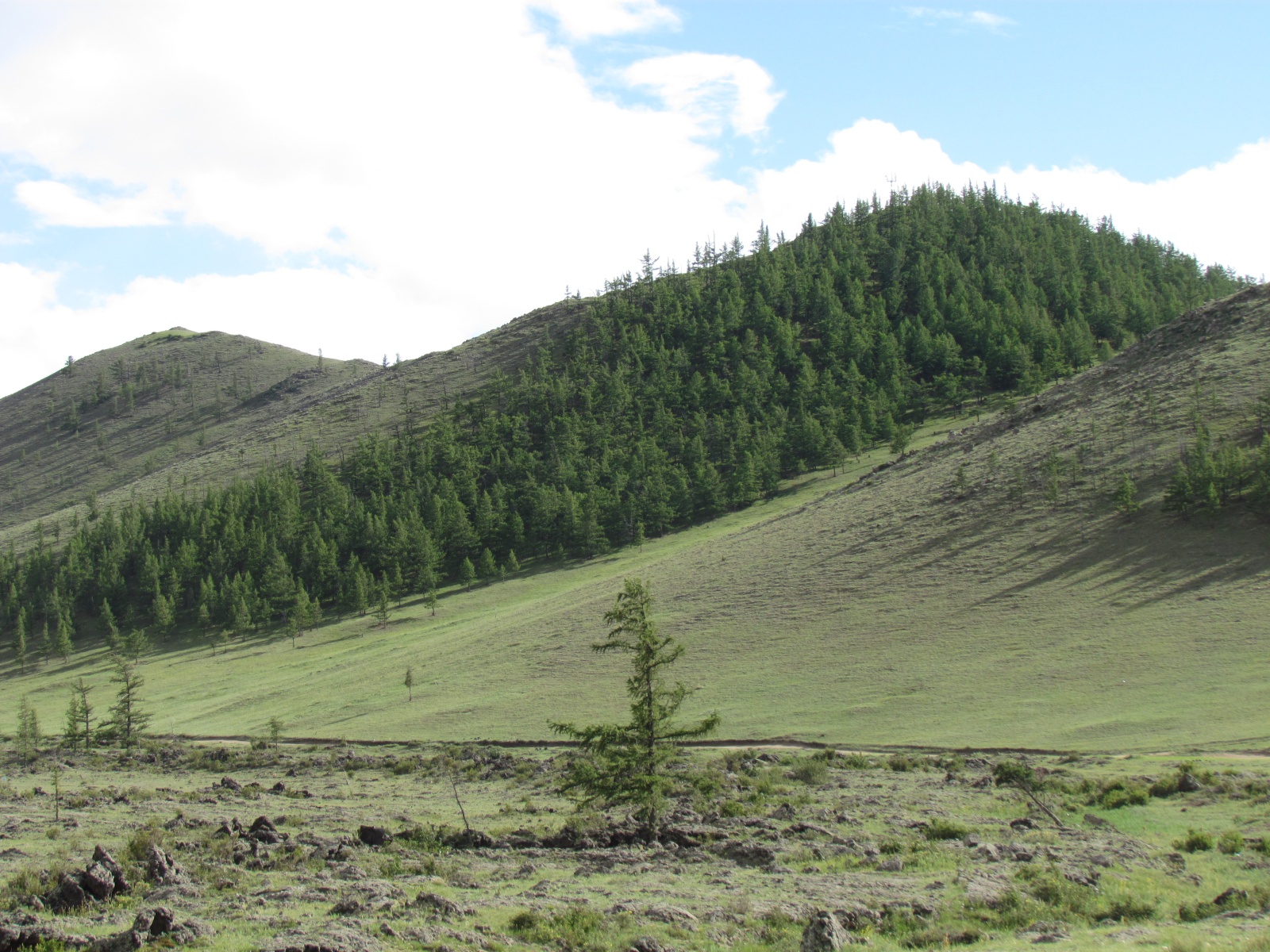 Near Khorgo
