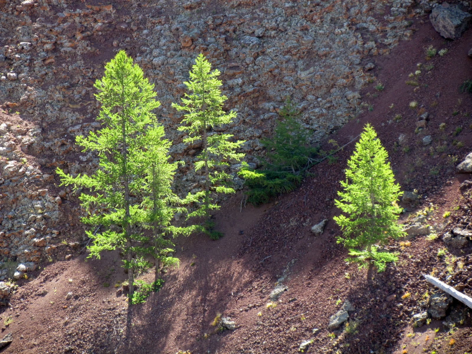 Near Khorgo - Khorgo volcano