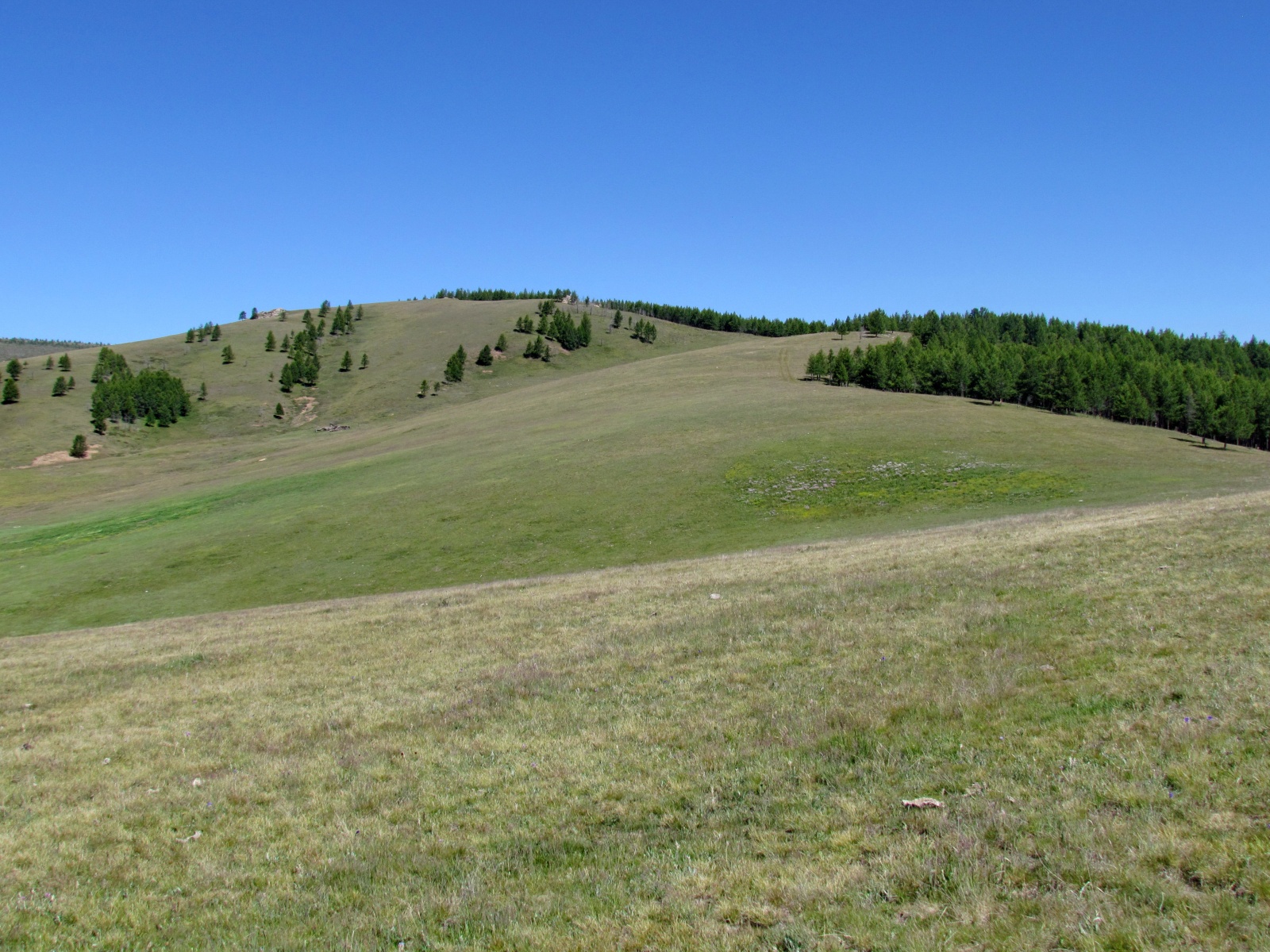 Near Terkhiin Tsagaan Lake