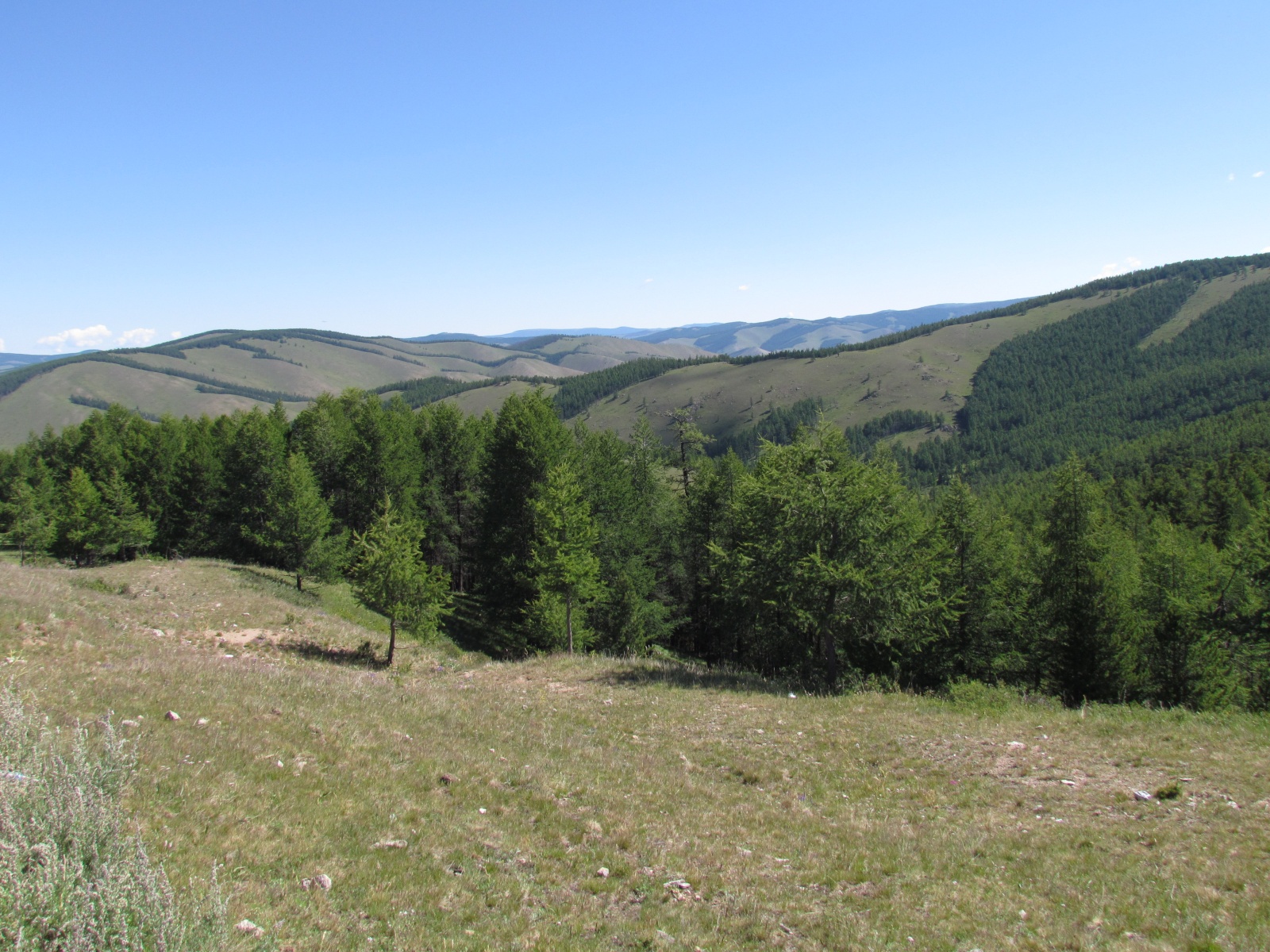 Near Terkhiin Tsagaan Lake