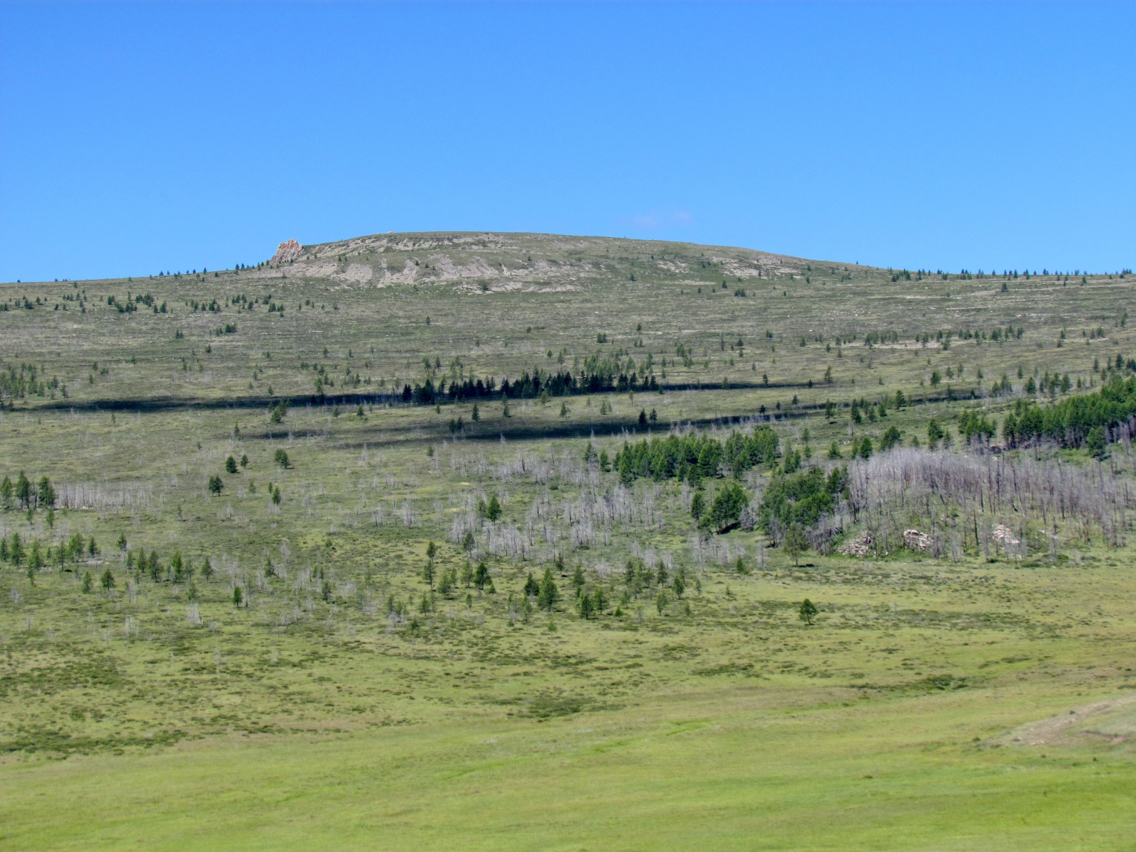 Near Terkhiin Tsagaan Lake