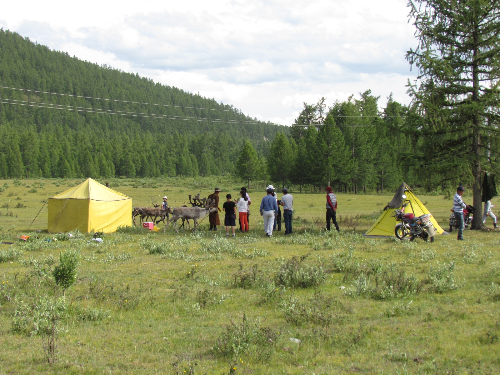 Near Khuvsgul lake - Tsaatan reindeer herders