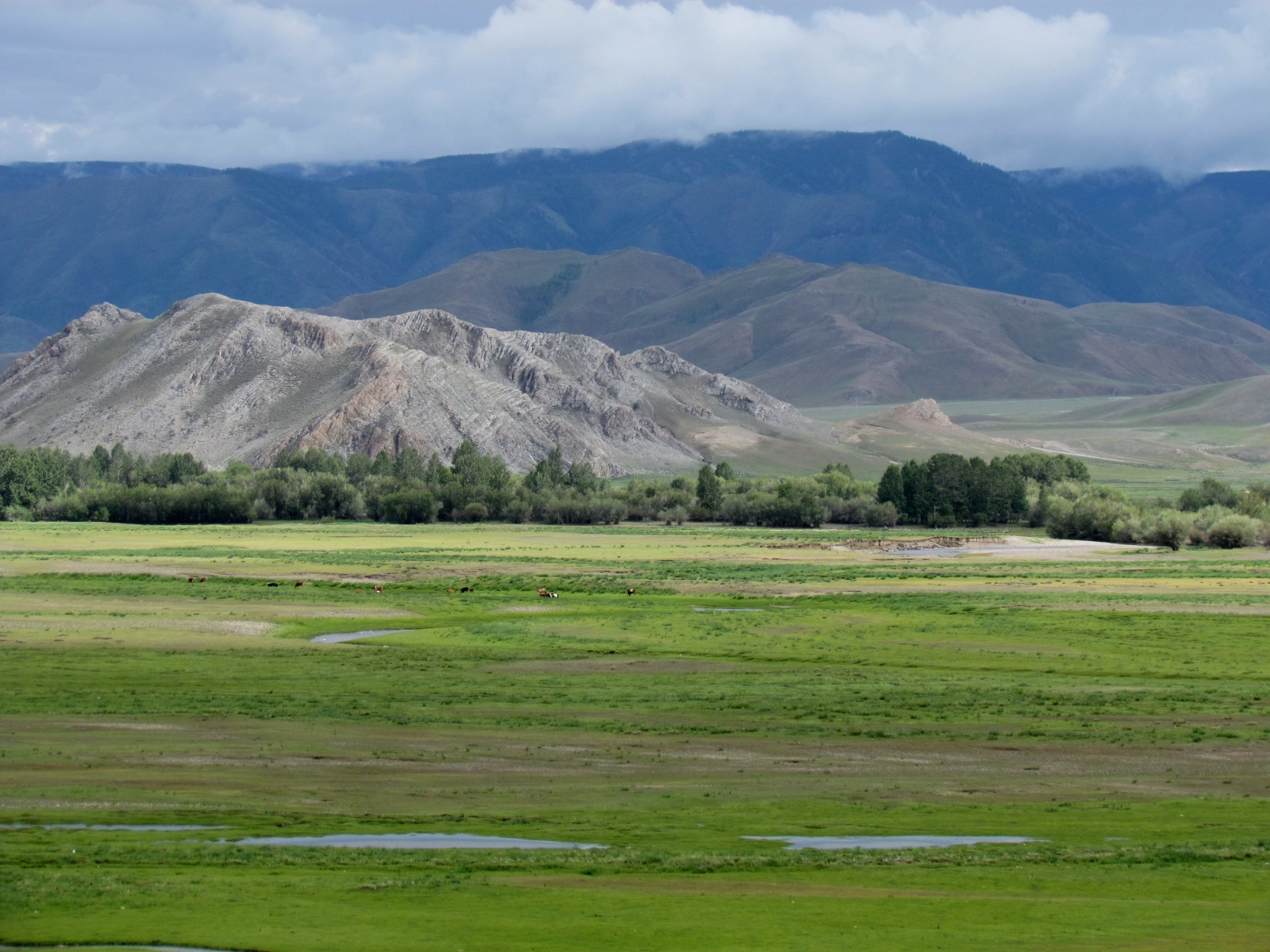 Khargant camp - Delgermoron river