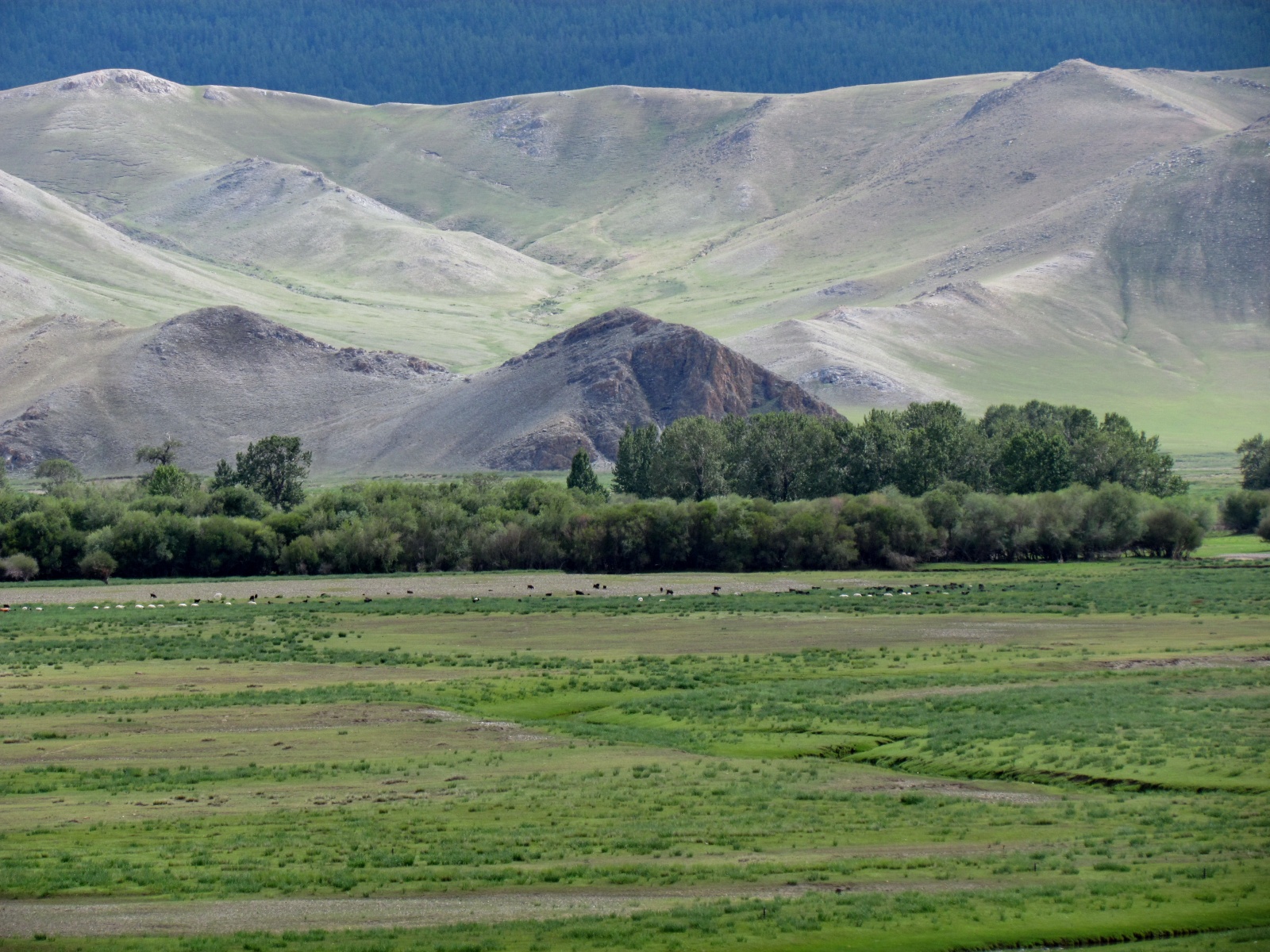 Khargant camp - Delgermoron river