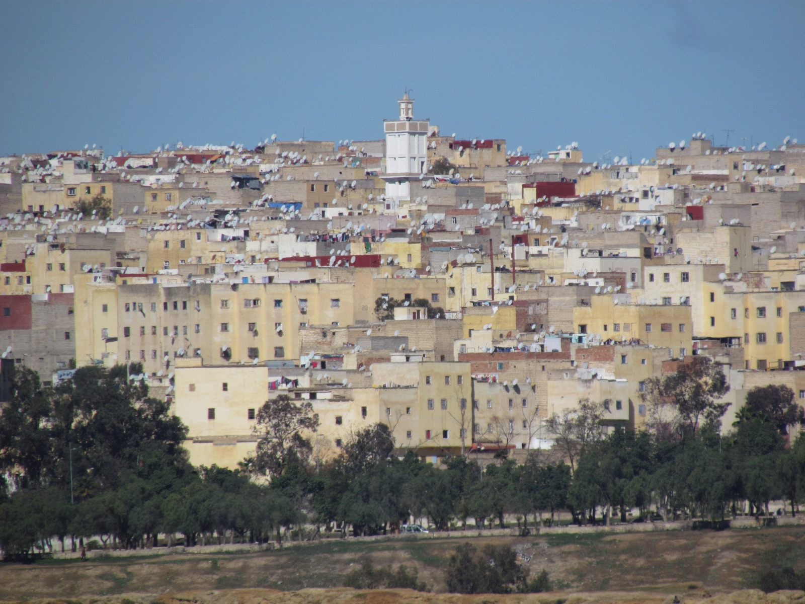 Fes