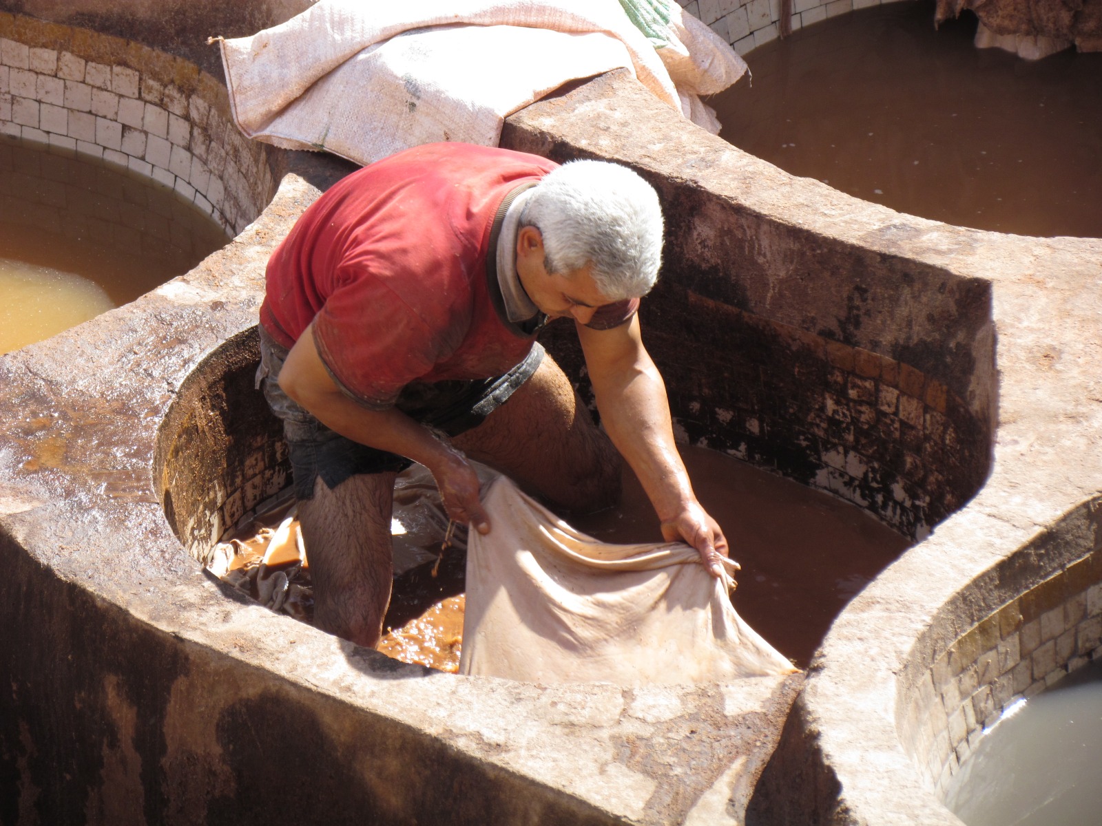 Fes - Old medina - Tannery shop