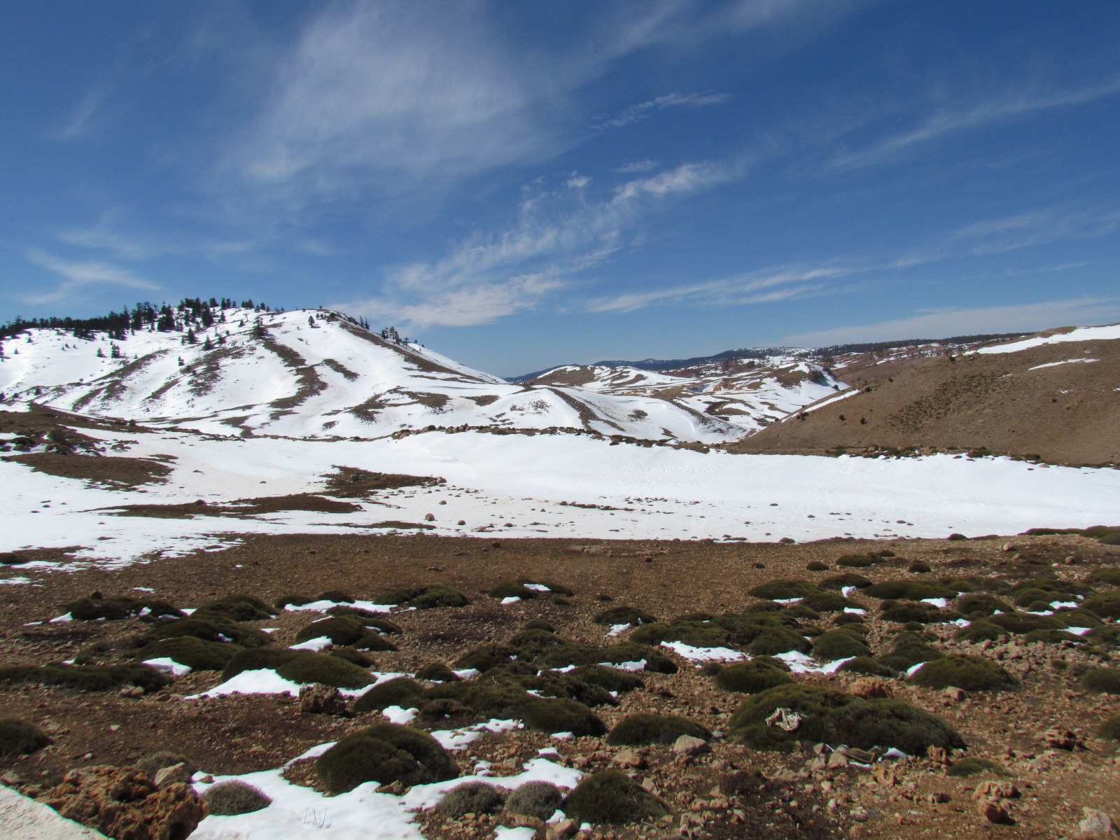 Near Sidi Ali lake