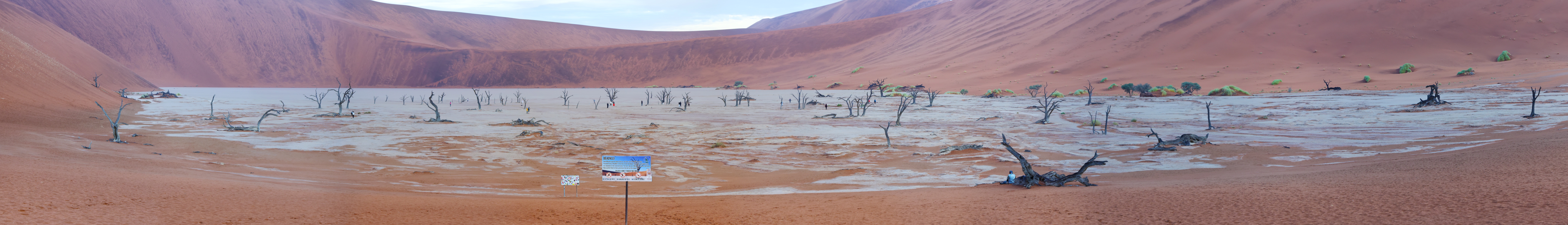 Deadvlei - Panorama