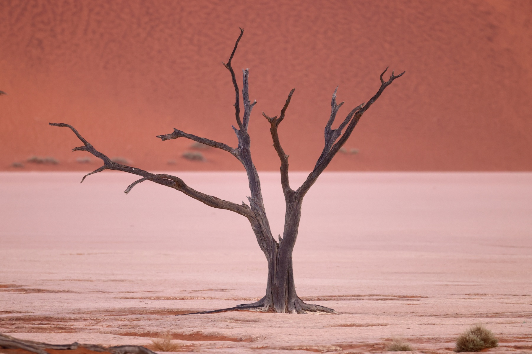 Deadvlei