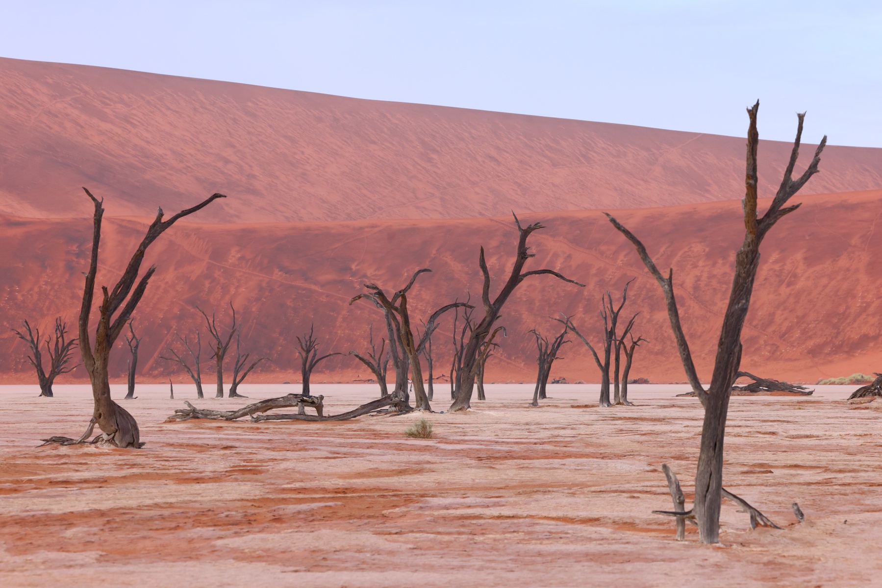 Deadvlei