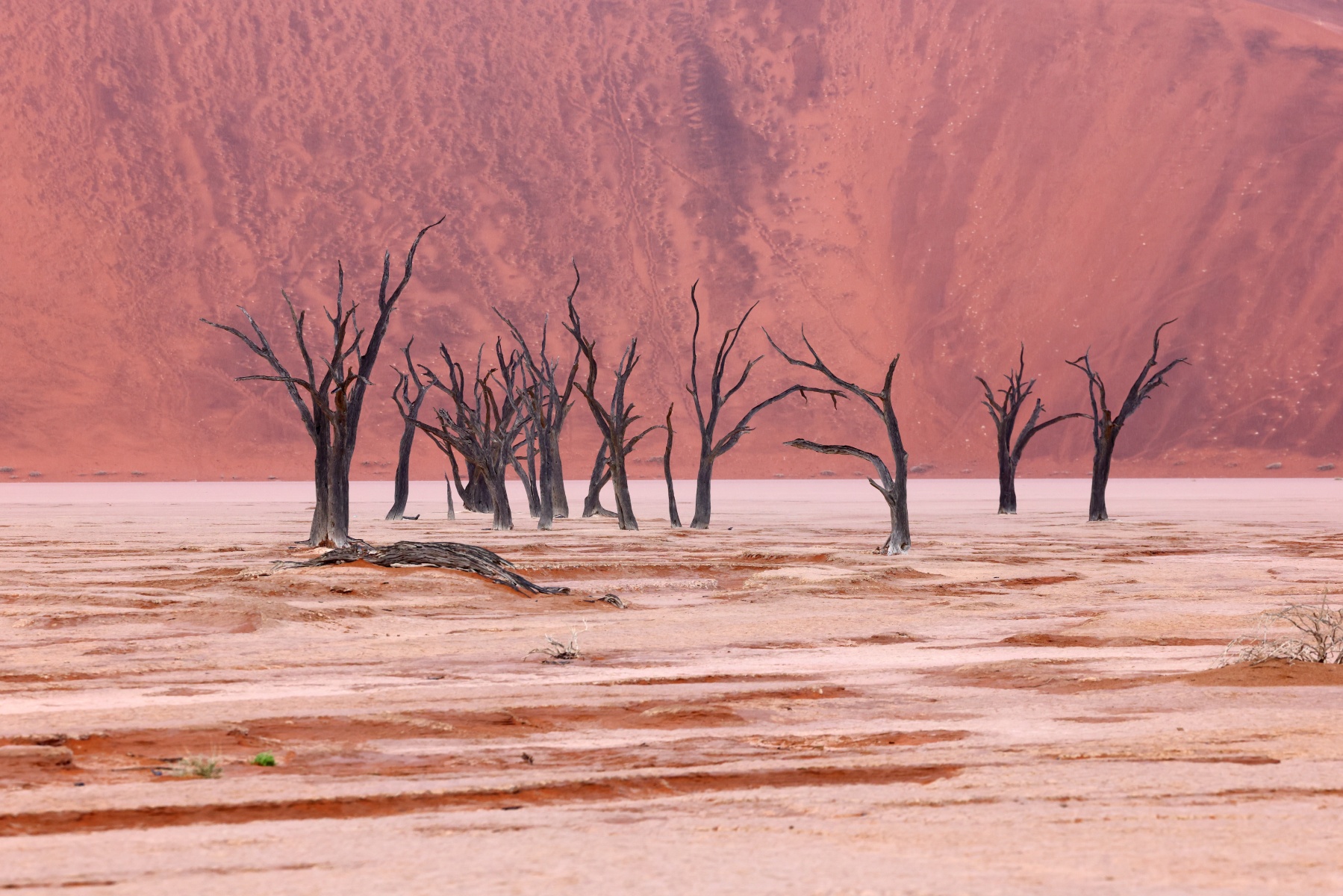 Deadvlei