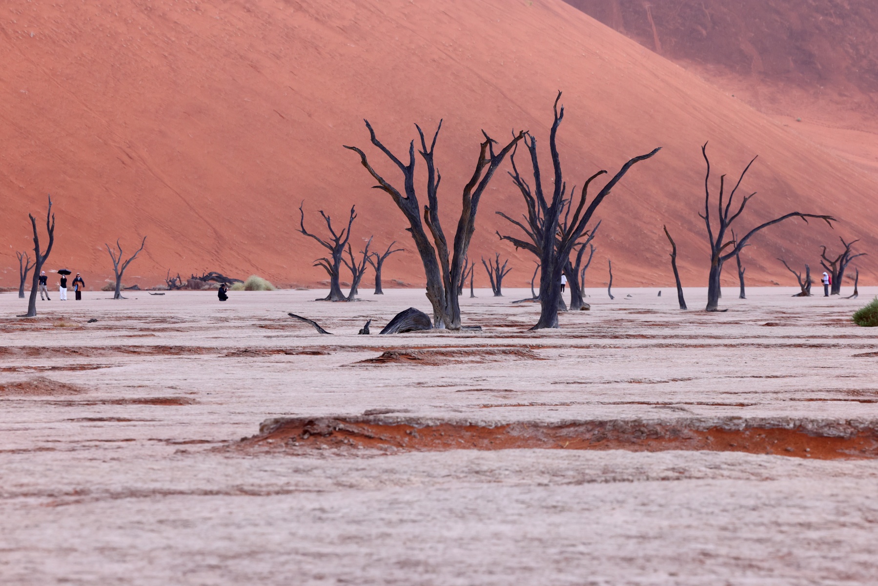 Deadvlei