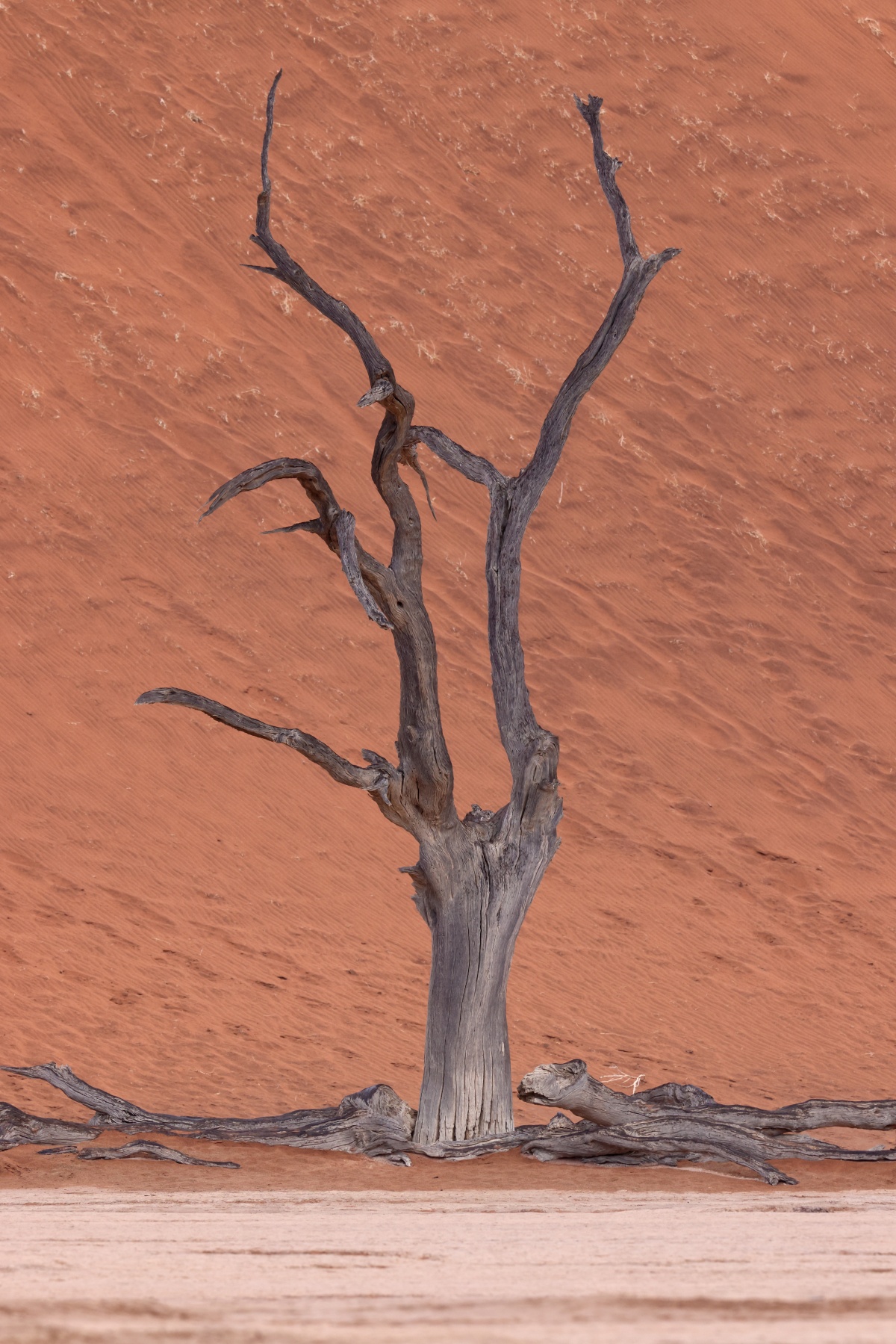 Deadvlei