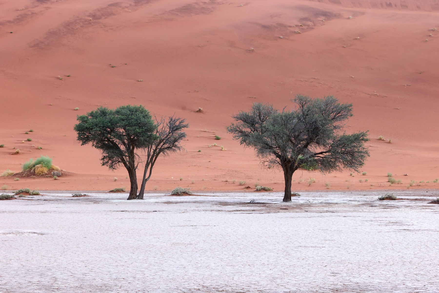 Deadvlei