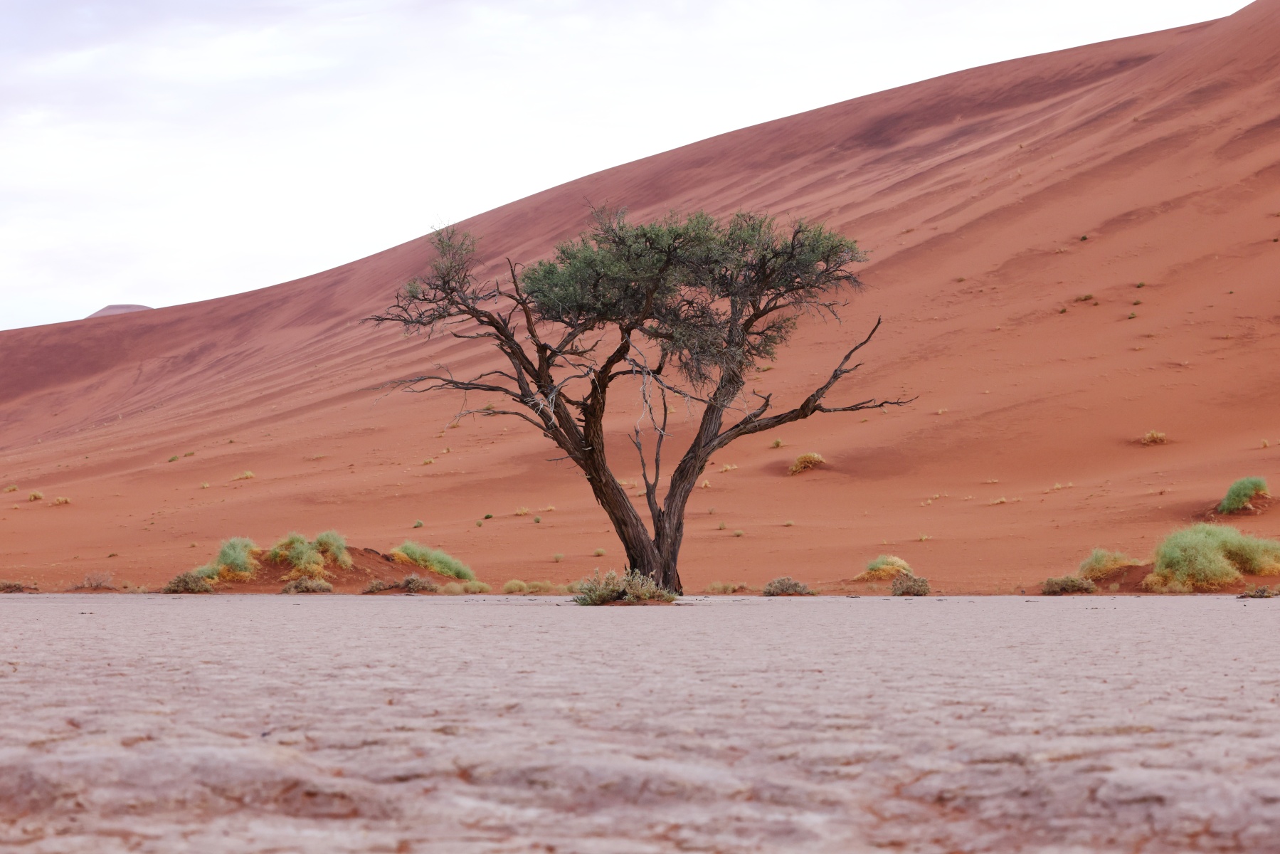 Deadvlei