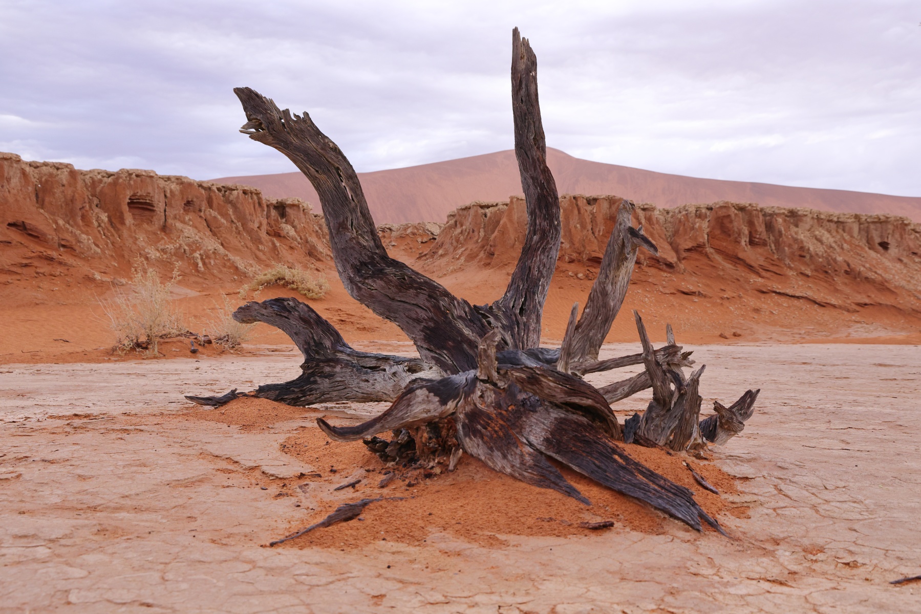 Deadvlei