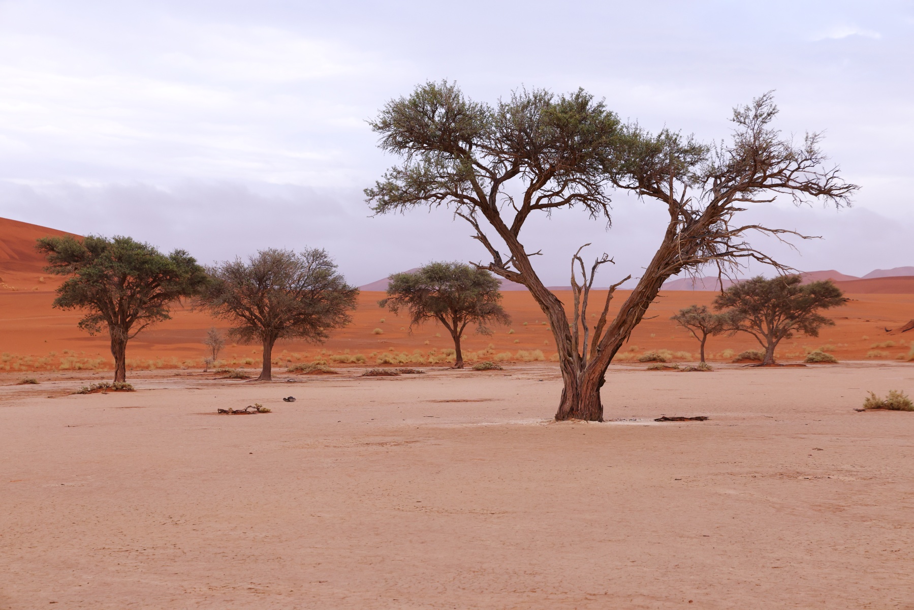 Deadvlei