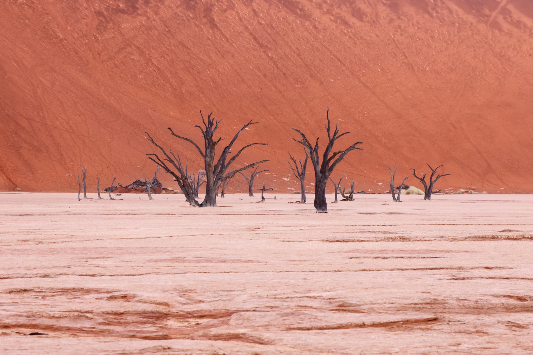 Deadvlei