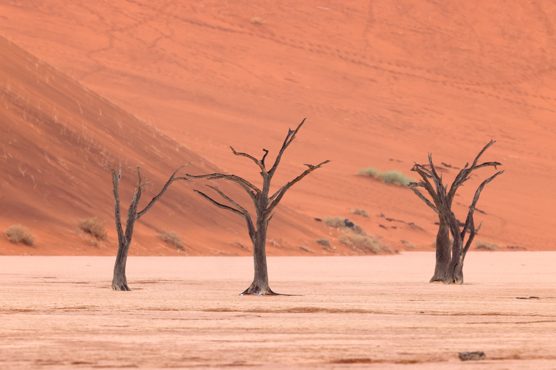 Deadvlei