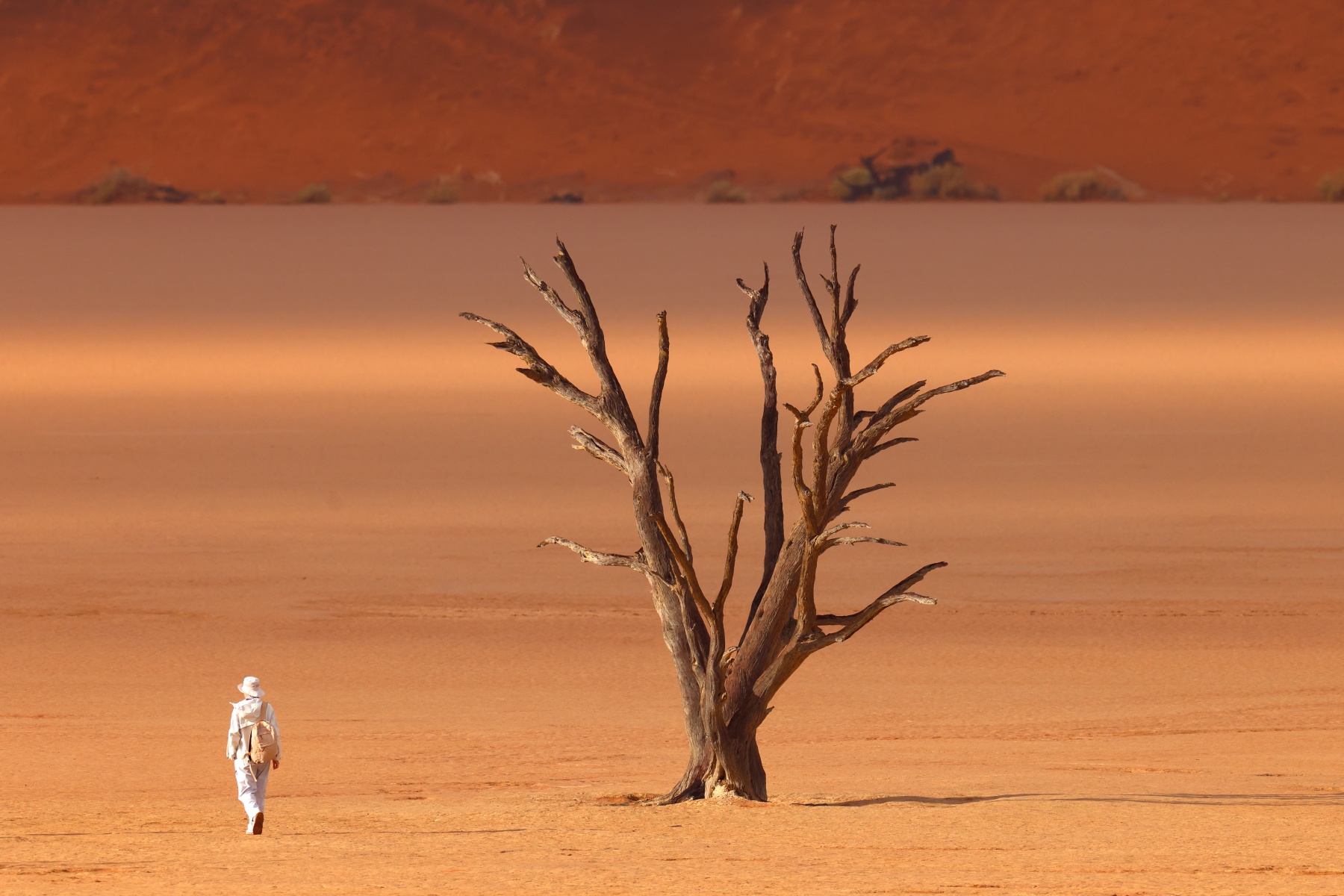 Deadvlei