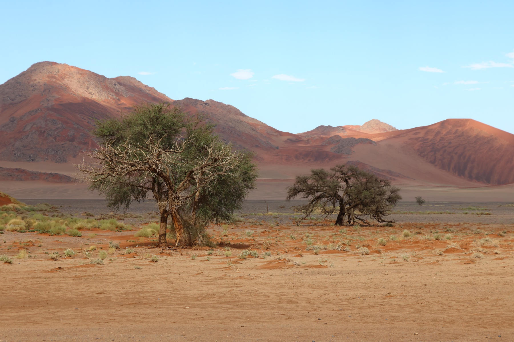 Sossusvlei