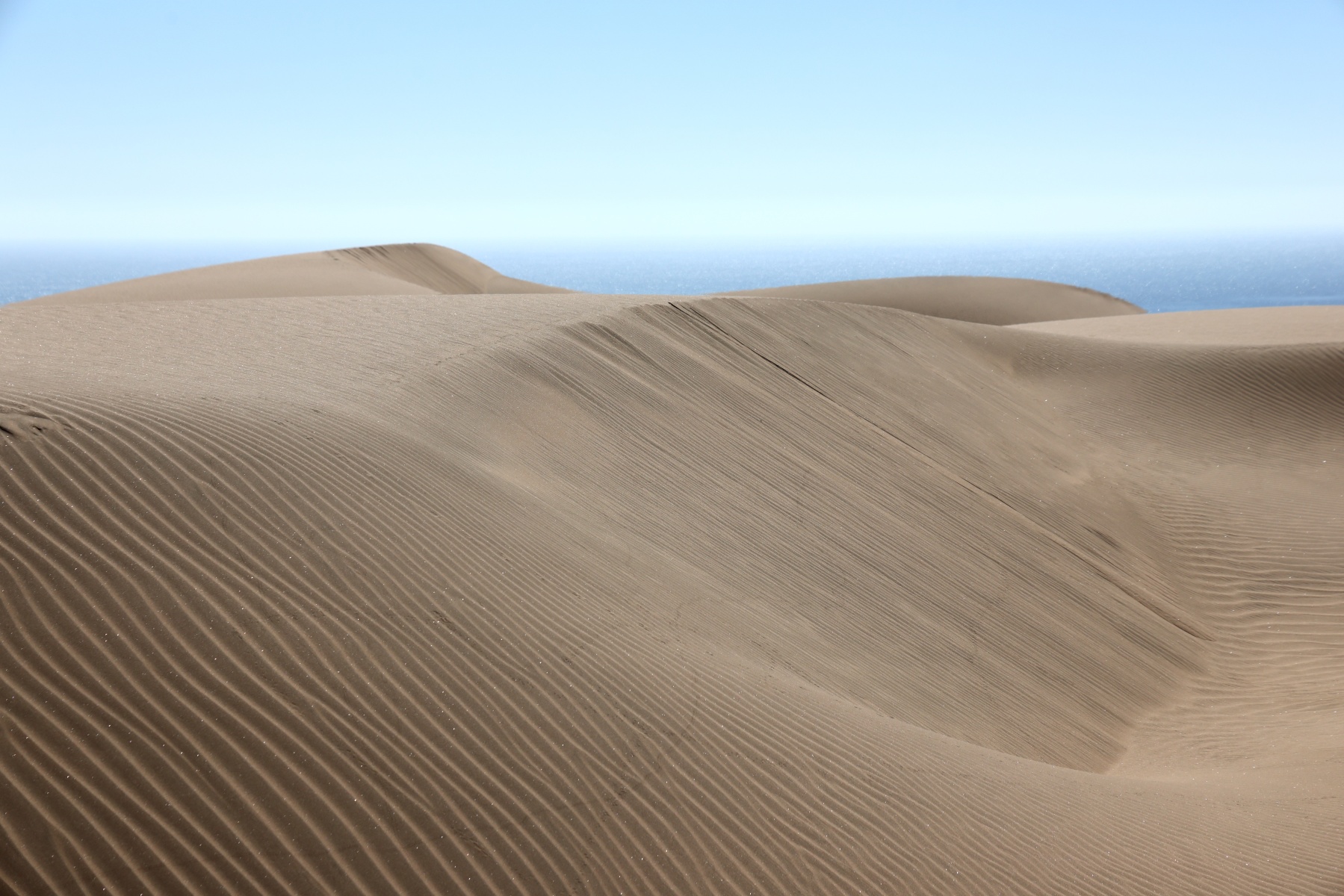Namib Desert Coast - Sand dunes