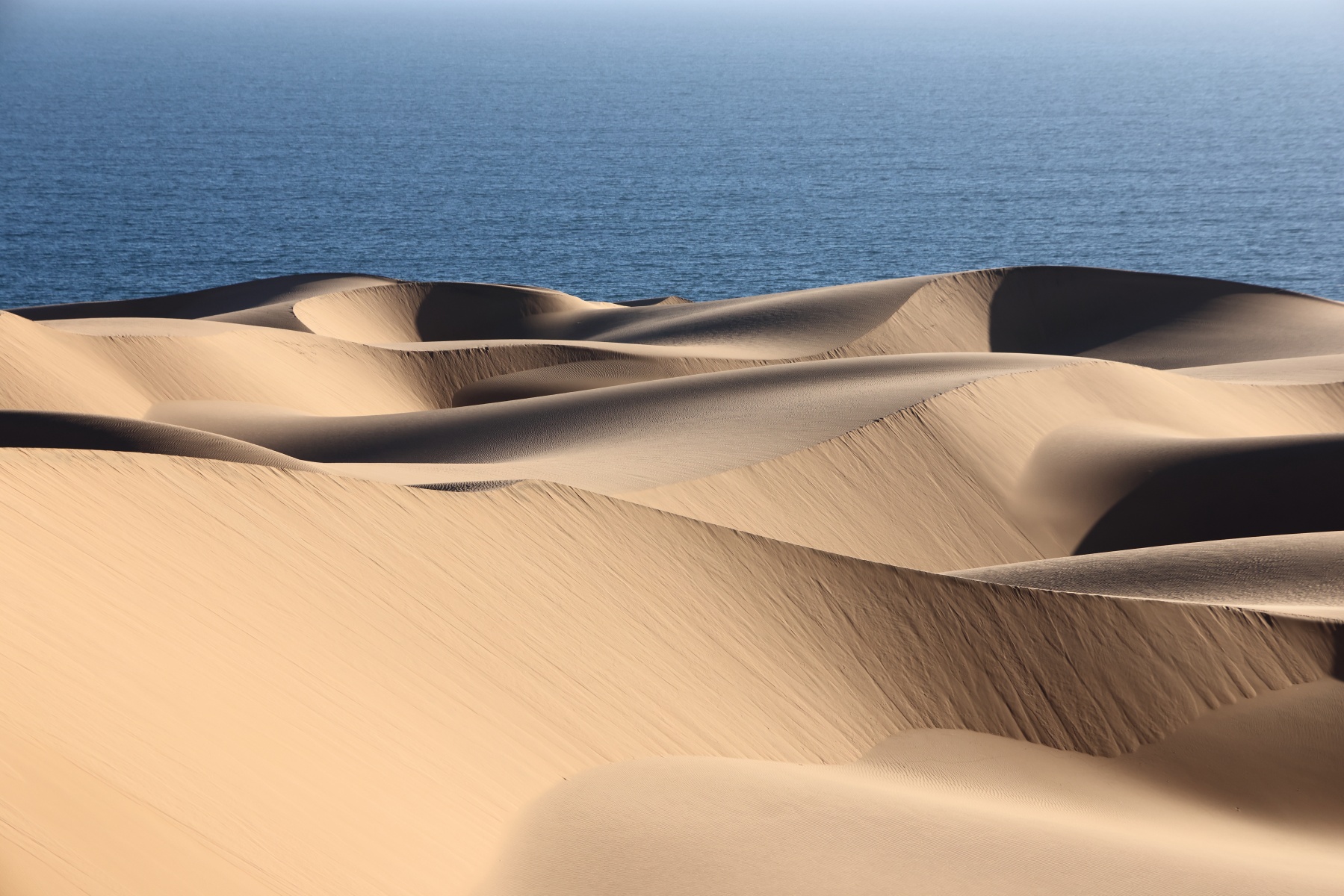 Namib Desert Coast - Sand dunes