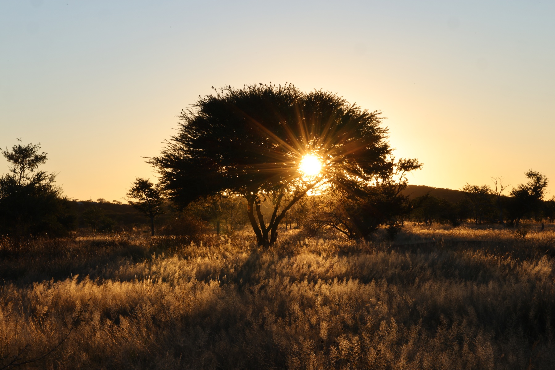 Eldorado Lodge and Camping - Sunset