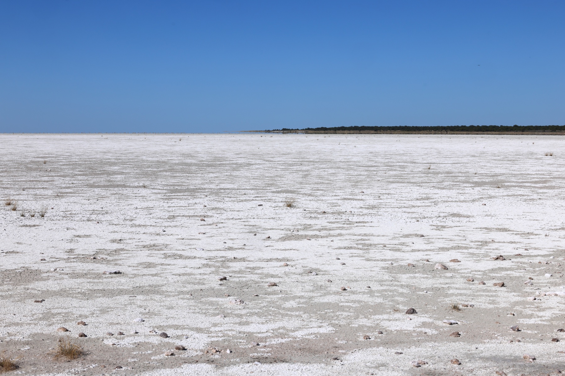 Etosha - Salt pan