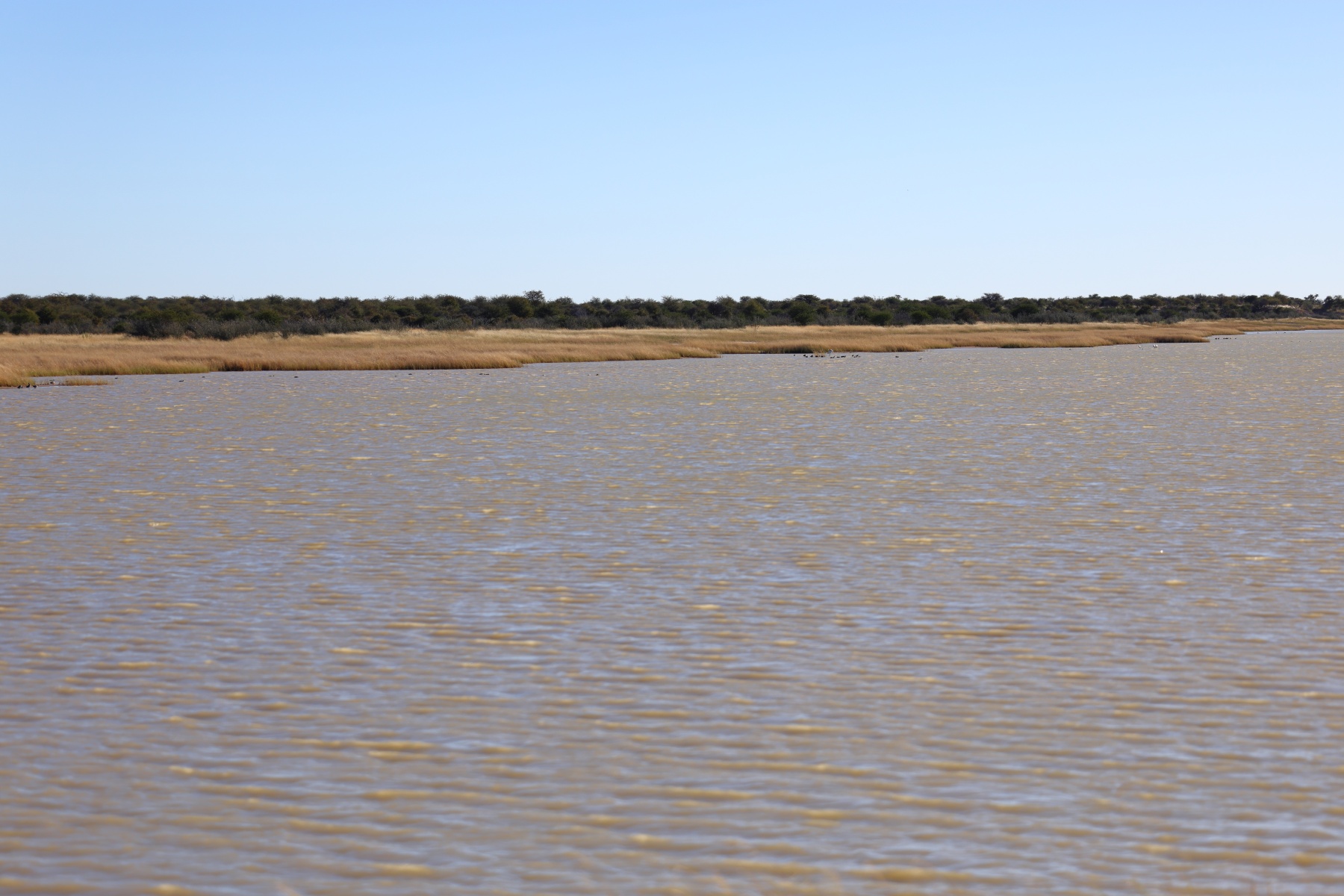 Etosha - Water