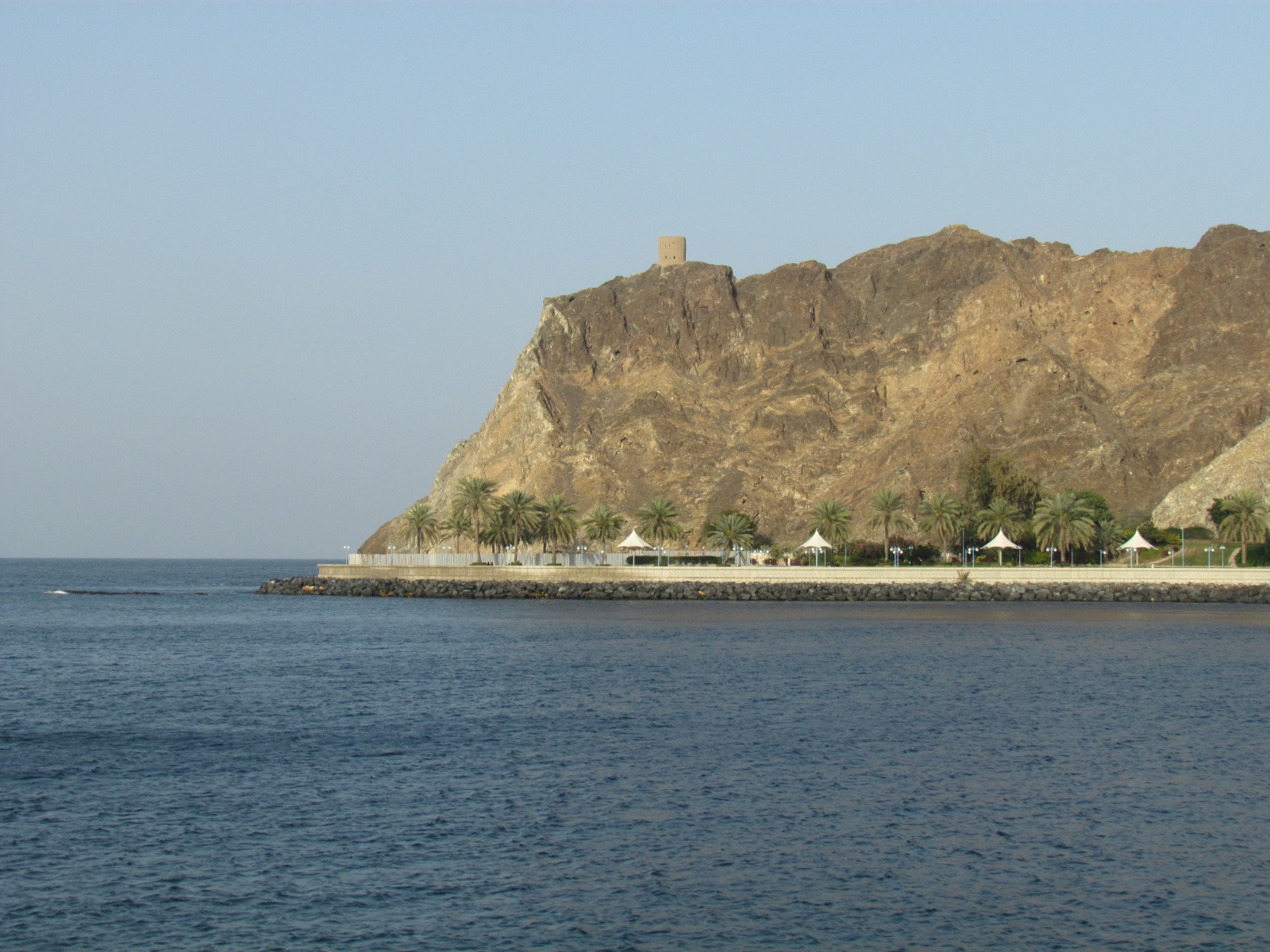 Muscat