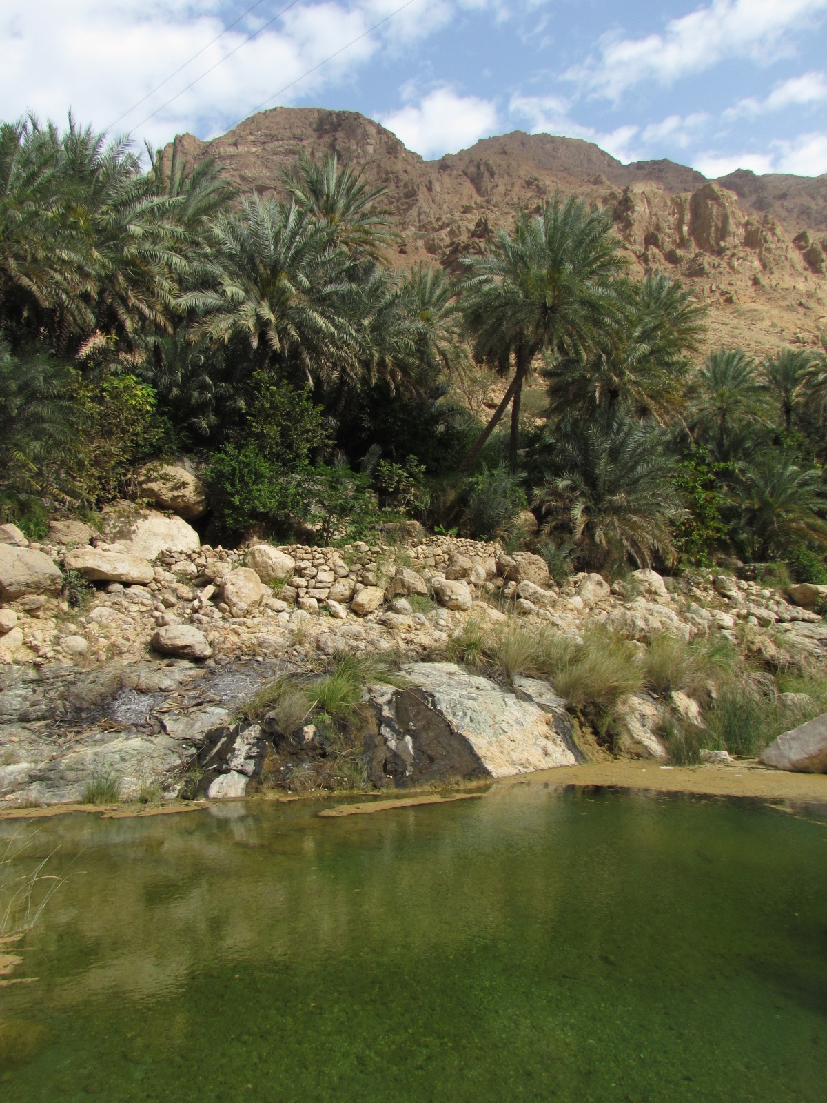 Wadi Tiwi