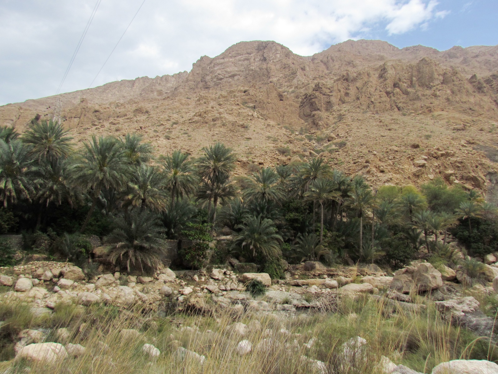 Wadi Tiwi