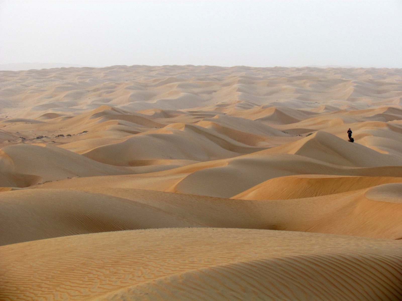 Wahiba Sands desert