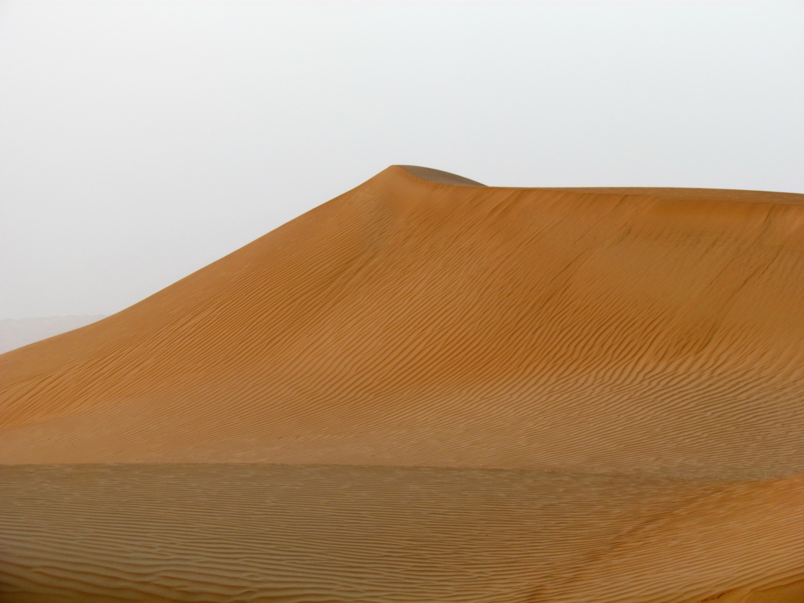 Wahiba Sands desert