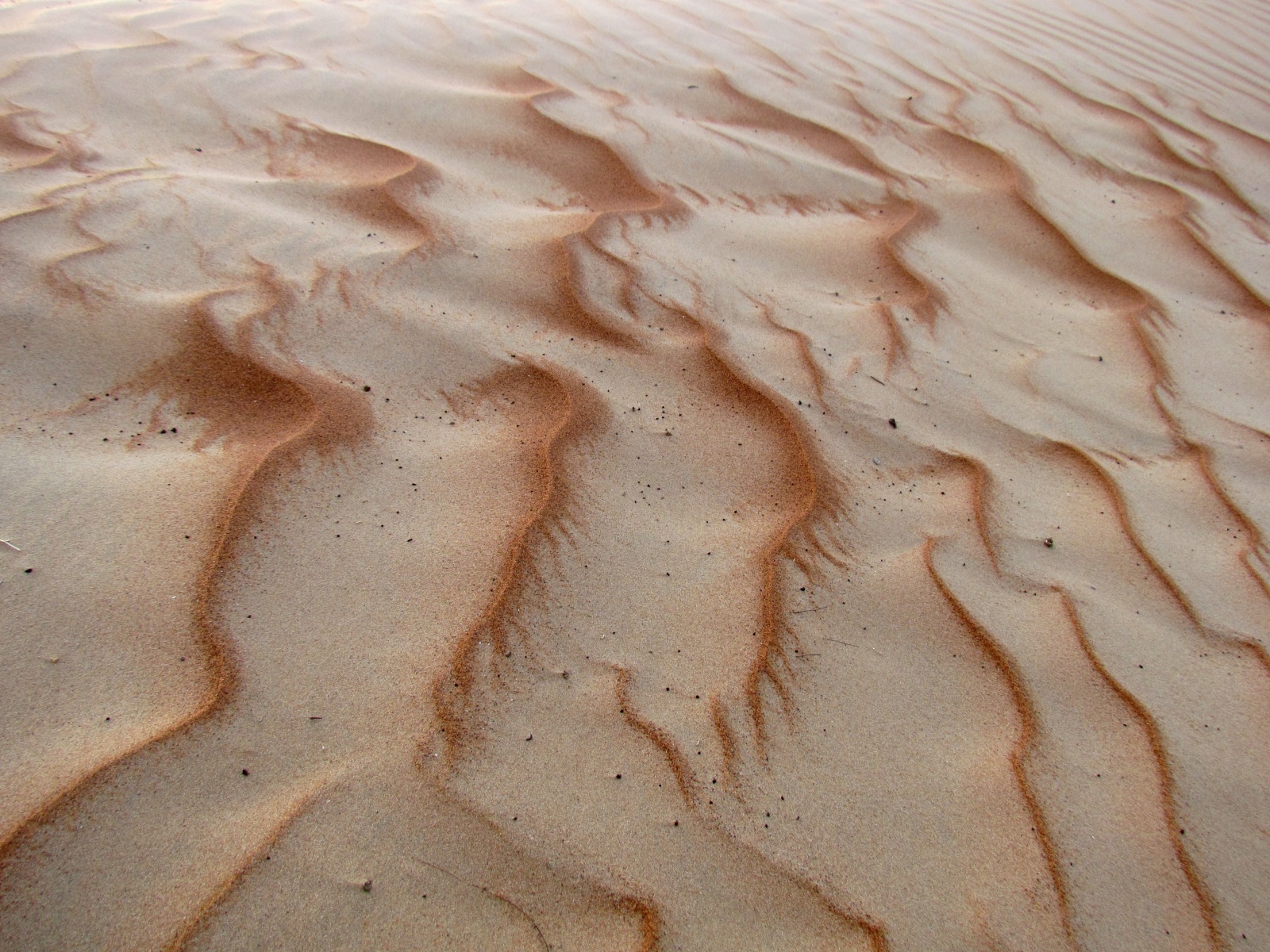 Wahiba Sands desert
